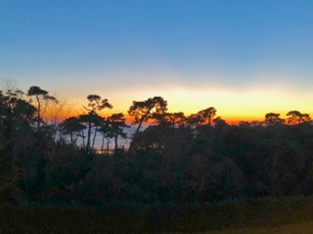 Vente Appartement VAUX SUR MER Vaux sur mer