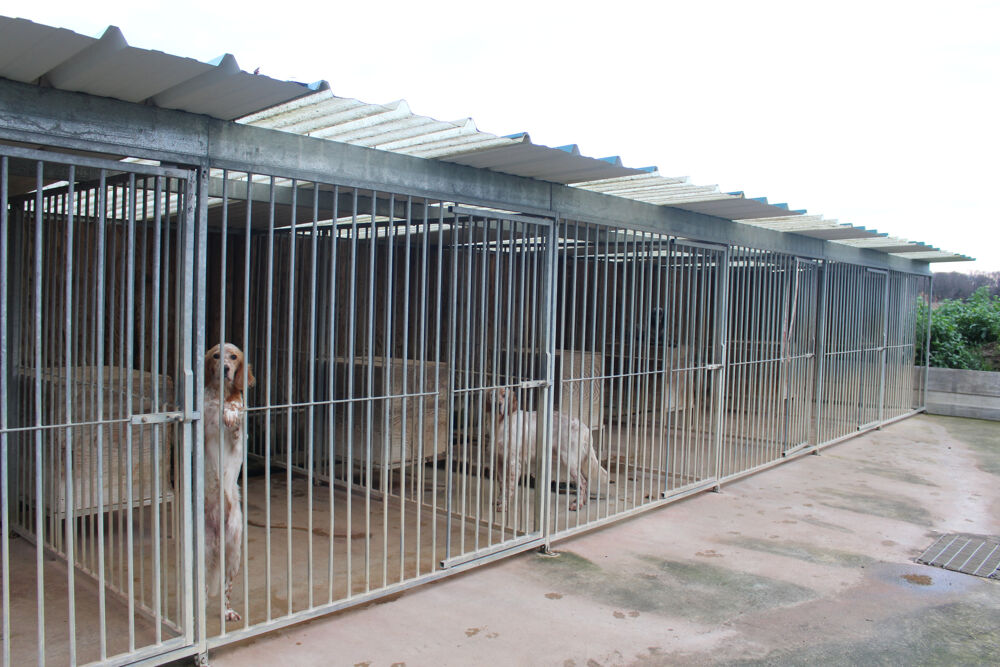 � vendre  Propri�t�/ch�teau Champagne (17620)