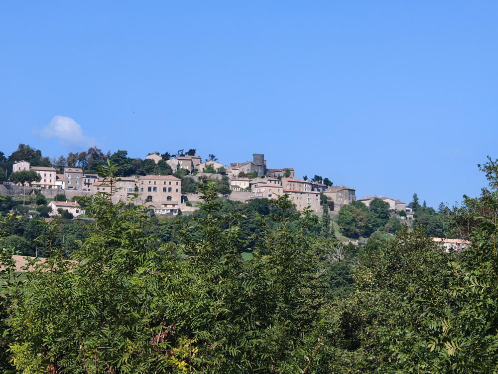 Vente Propriété/Château ENSEMBLE IMMOBILIER AVEC FORT POTENTIEL SUR PLUS DE 1,6HA DE TERRAIN Boffres