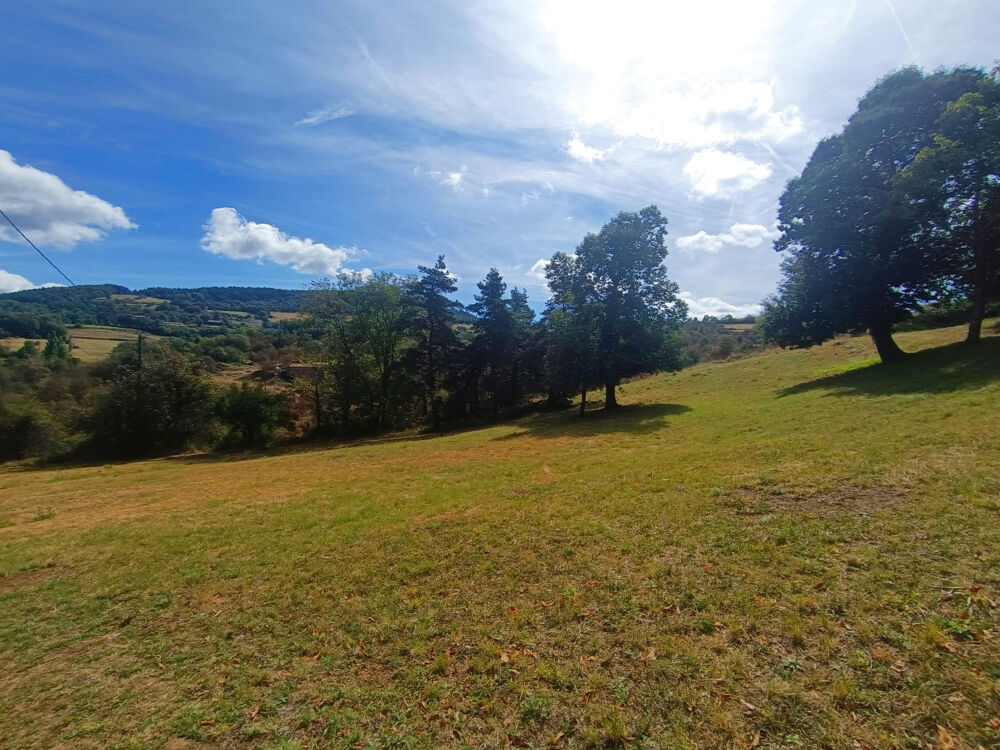 Vente Maison Maison en pierre 103 m2 + hangar & 7-ha   Ardèche Verte, sans vis-à-vis St julien le roux