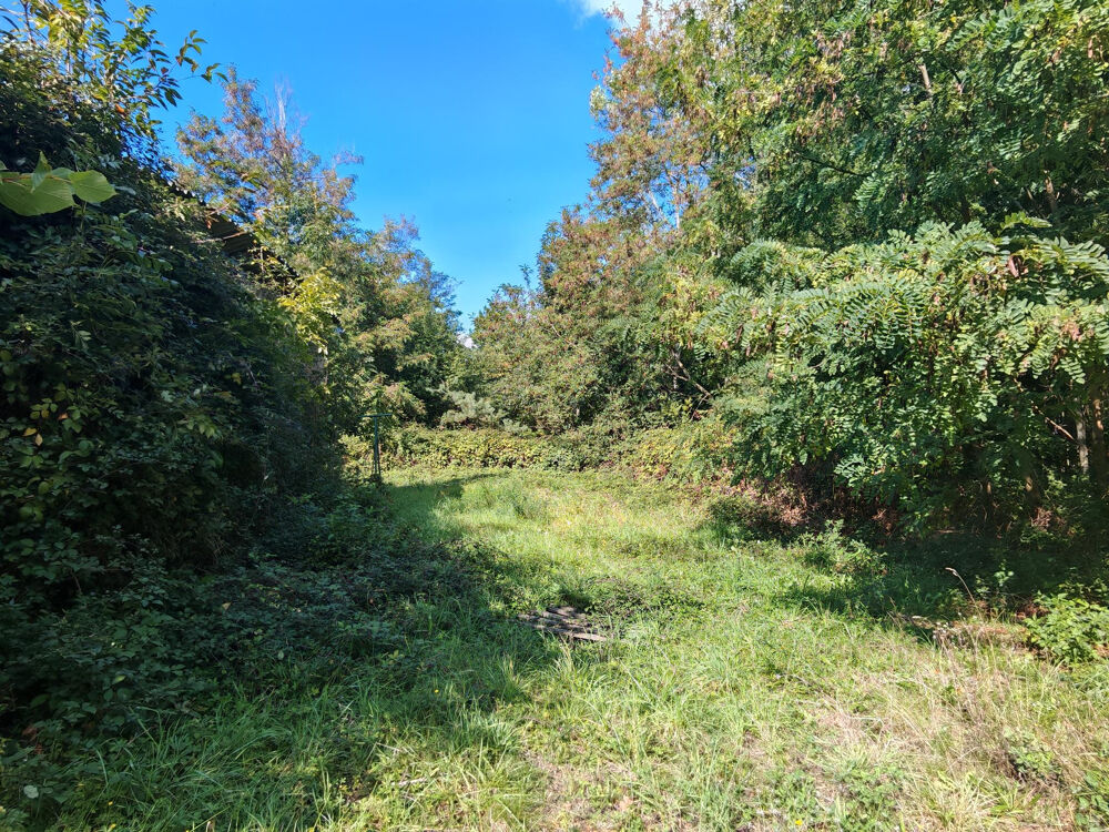 Vente Propriété/Château ENSEMBLE IMMOBILIER AVEC FORT POTENTIEL SUR PLUS DE 1,6HA DE TERRAIN Boffres