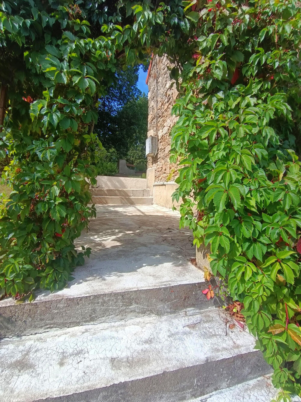 Vente Maison Maison en pierre 103 m2 + hangar & 7-ha   Ardèche Verte, sans vis-à-vis St julien le roux