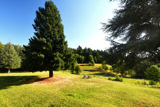  Propriété/château à vendre 9 pièces 205 m²
