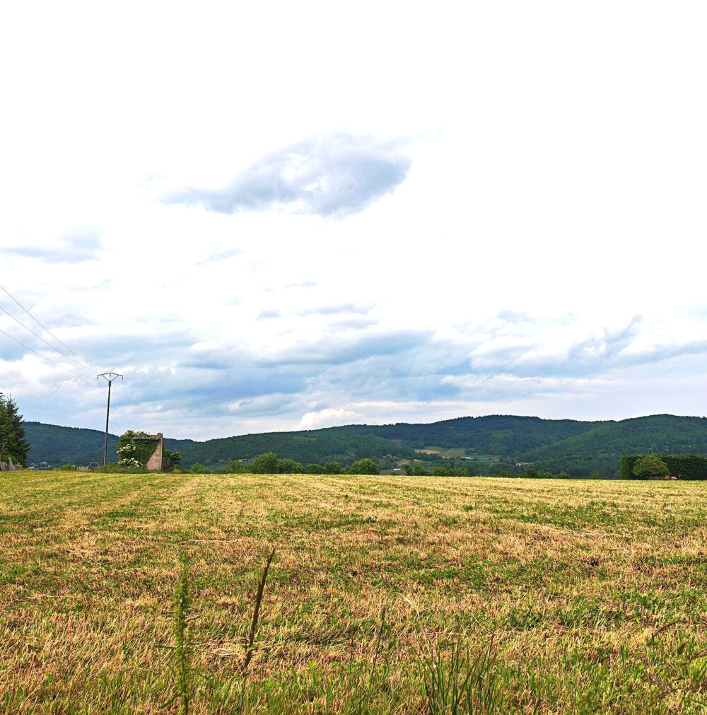Vente Terrain TERRAIN à bâtir 1ha 33a 42ca Vernoux en vivarais