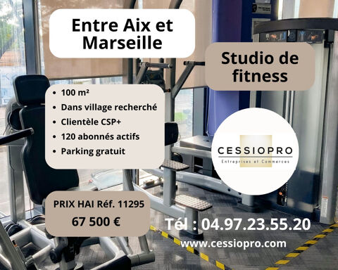 STUDIO DE FITNESS INTIMISTE ET RECENT, IDEAL POUR UN(E) PASSIONNE(E) DE COACHING SOUHAITANT REPRENDRE UNE ACTI 67500 13320 Bouc bel air