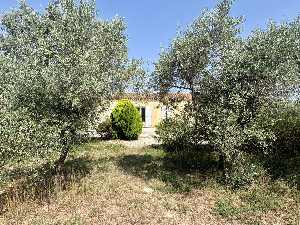 Vente Maison ARLES. Villa Pont de Crau avec piscine. Arles