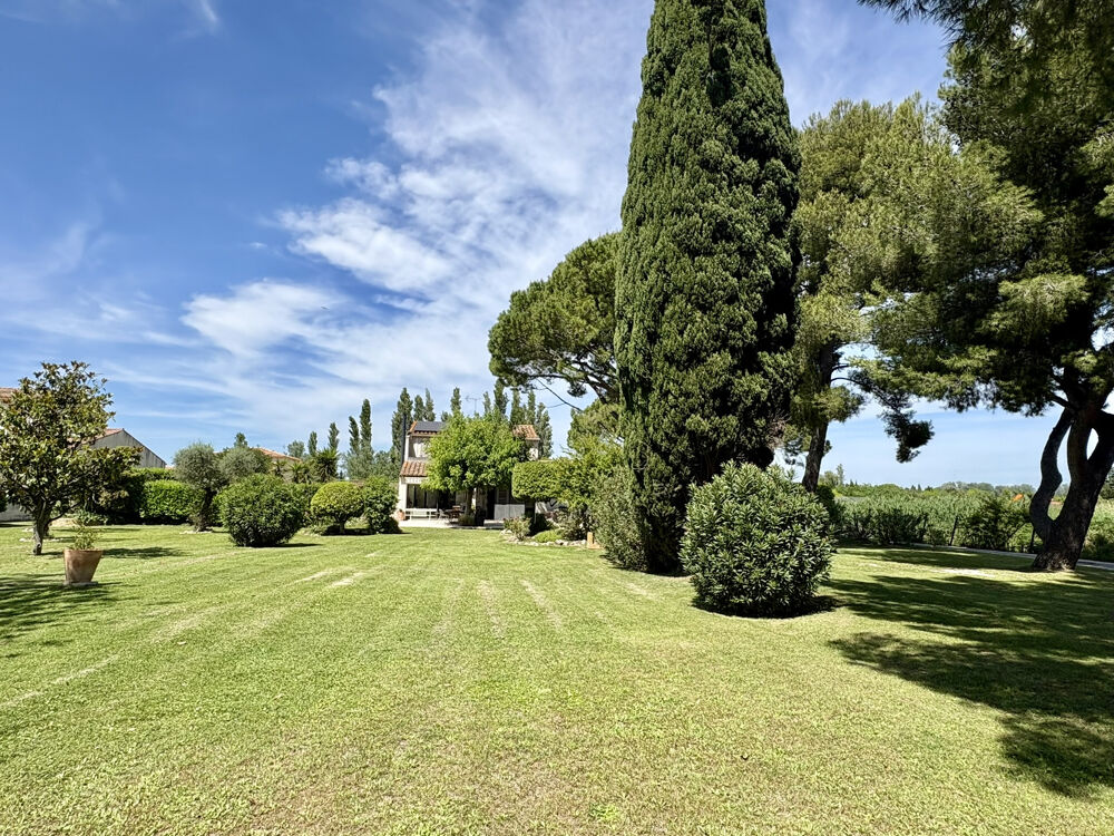 Vente Maison FOURQUES. Grande villa sur un magnifique parc Fourques