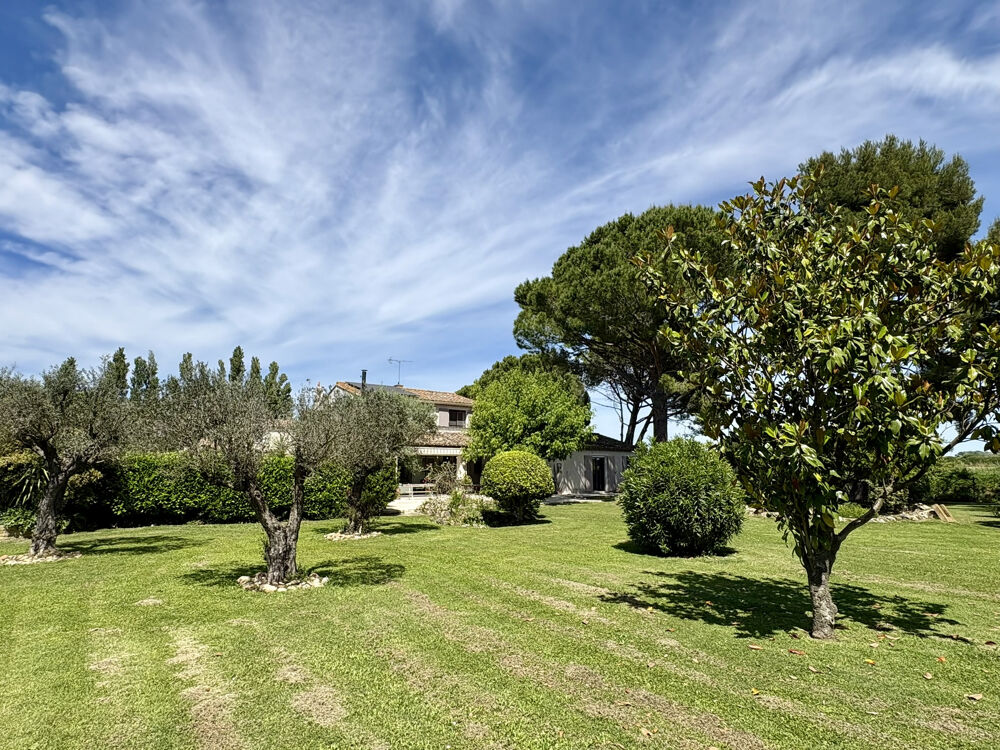 Vente Maison FOURQUES. Grande villa sur un magnifique parc Fourques