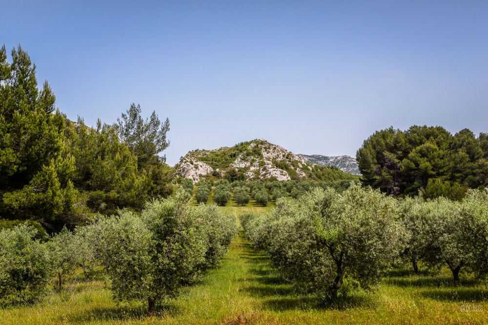 Vente Terrain Terrain constructible 358m2 Aureille