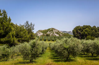  Terrain à vendre 358 m²