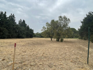  Terrain à vendre 340 m²