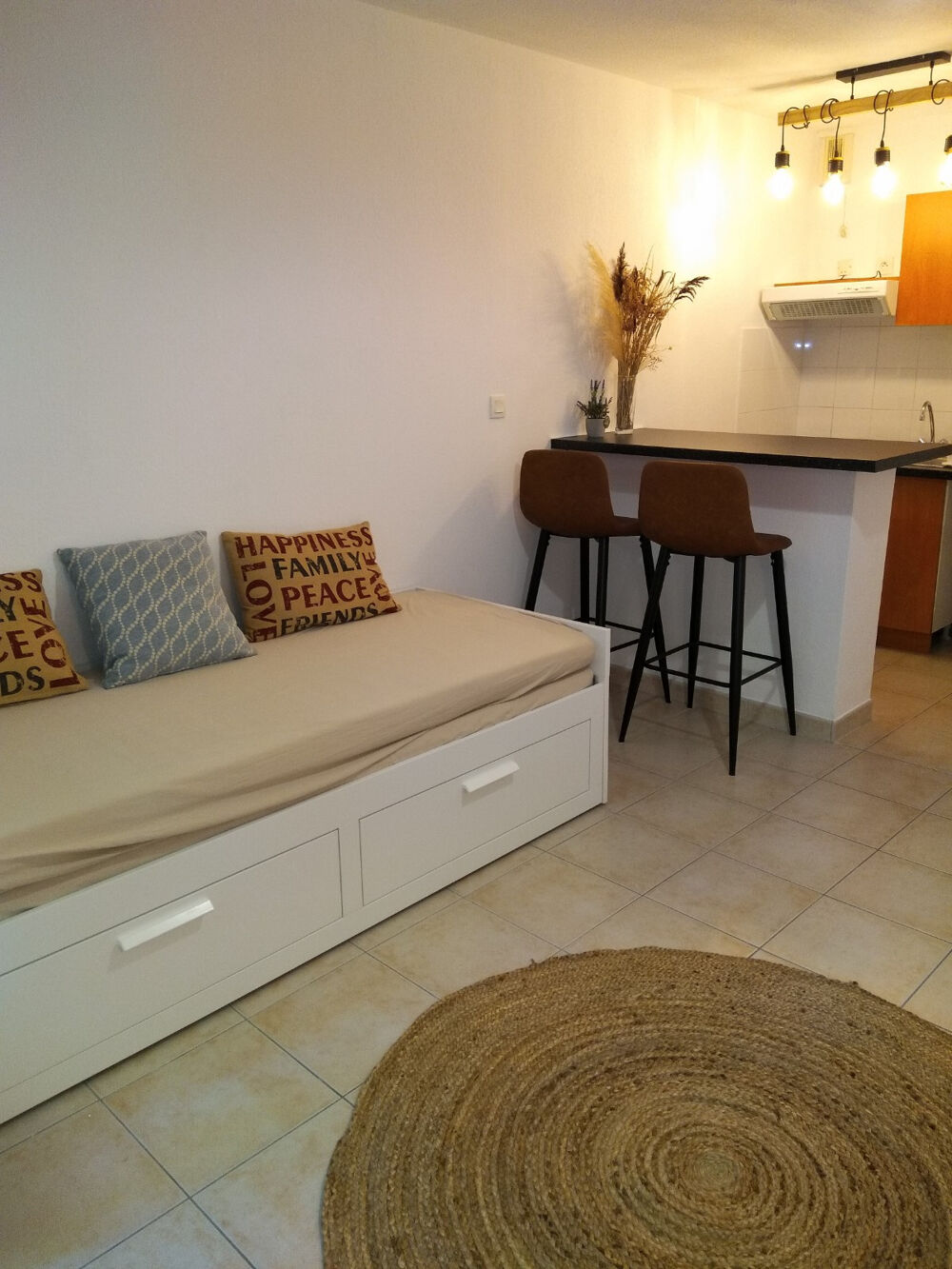 Location Appartement À louer   Studio meublé 25 m2   Résidence Les Cyclades, Arles Arles