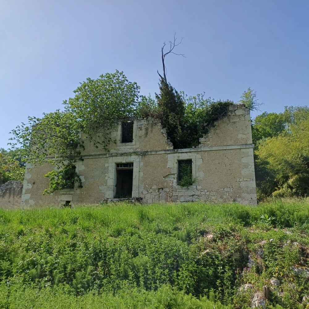 Ancienne Maison de Maître terre et bois 6 Ha