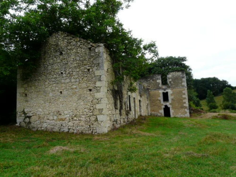 Ancienne Maison de Maître terre et bois 6 Ha