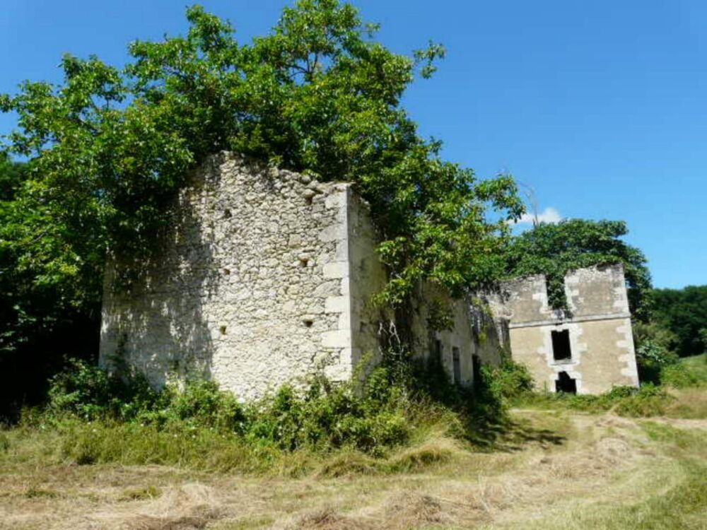 Ancienne Maison de Maître terre et bois 6 Ha