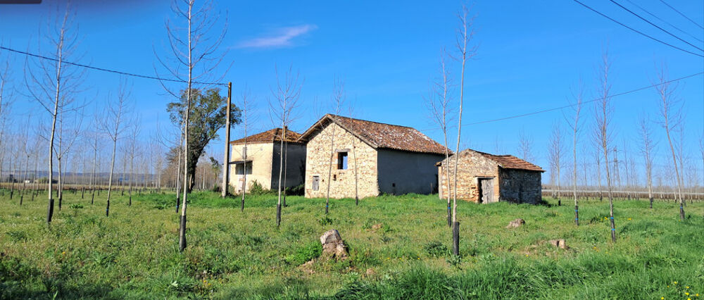 Vente Maison MAISON A RESTAURER Montesquieu