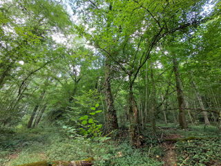  Terrain à vendre 3420 m²