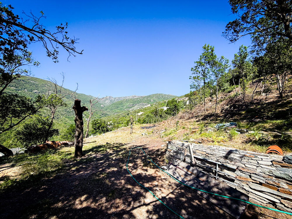 à vendre  Maison Santa-Maria-di-Lota (20200)
