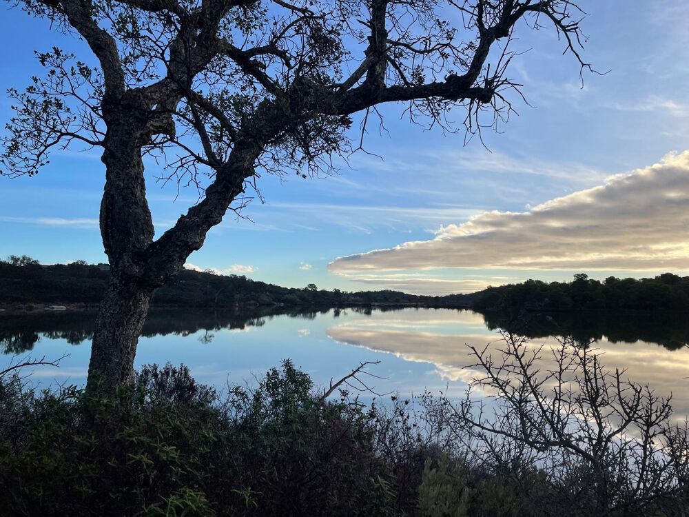 � vendre  Maison Porto-Vecchio (20137)