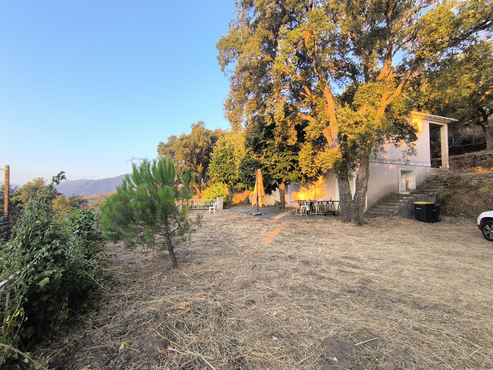 Vente Maison PROPRIETE CARDO Bastia
