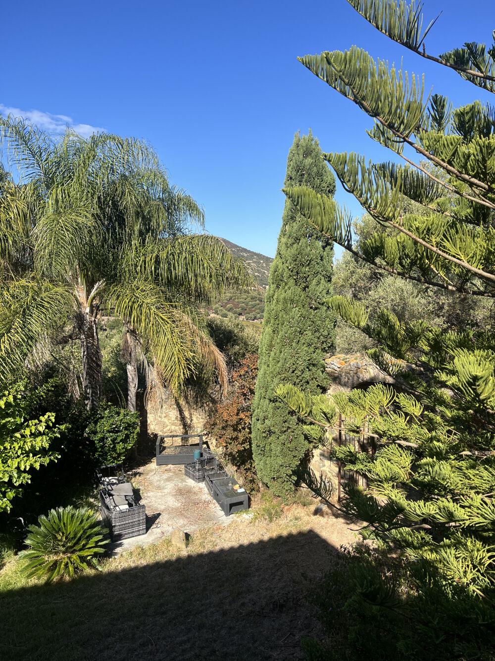 ANCIEN MOULIN ET BERGERIE AGREGNO - BALAGNE