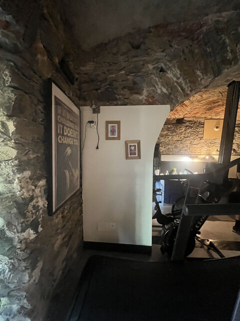   LOCAL COMMERCIAL OU PROFESSIONNEL 