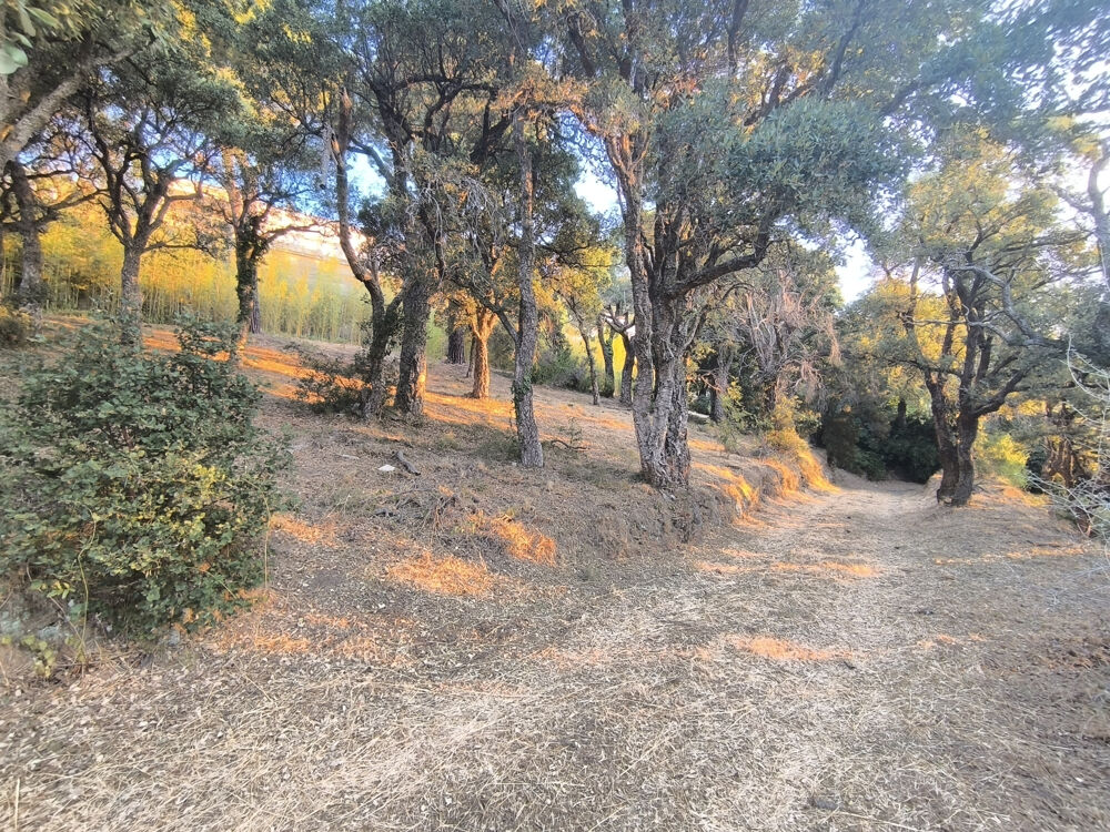 à vendre  Maison Cardo (20200)