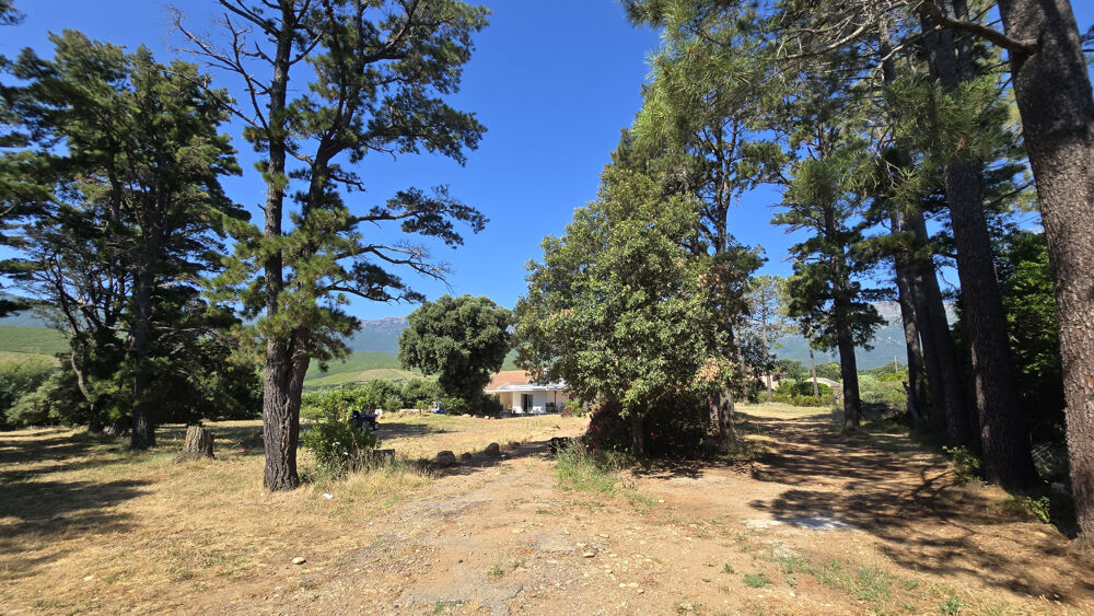 Vente Maison Propriété - Pietracorbara Pietracorbara
