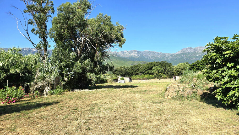 à vendre  Maison Pietracorbara (20233)