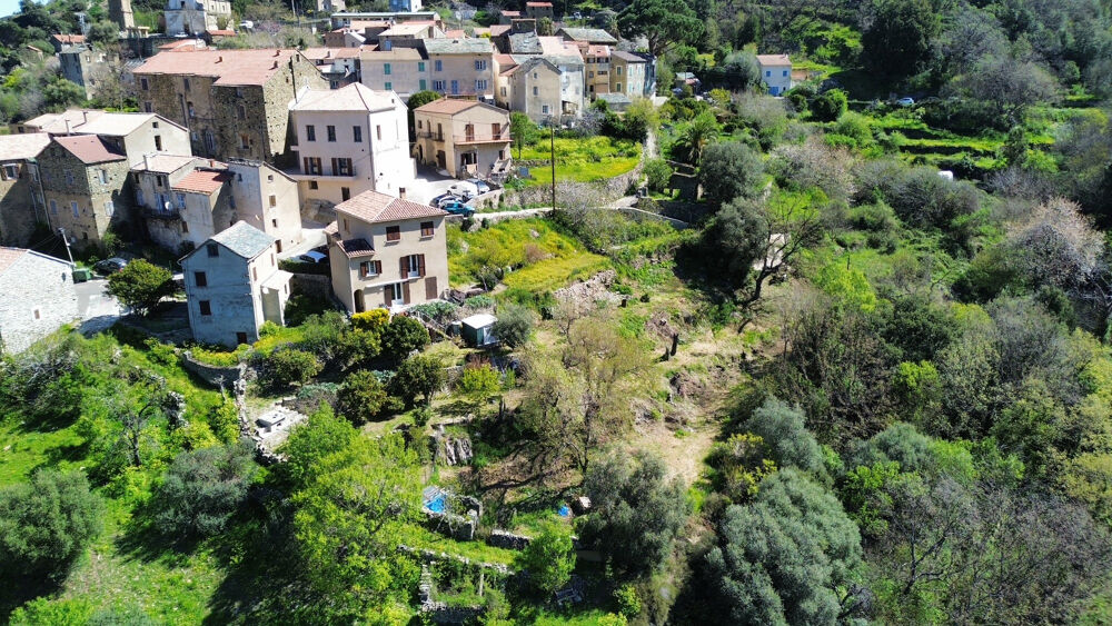 Vente Terrain À acheter 109610 € à Piève : terrain avec L'Agence Bastia Balagne Pieve