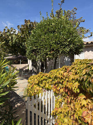  Maison à vendre 1 pièce 40 m²
