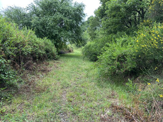  Ferme � vendre 4 pi�ces 200 m� L isle en dodon