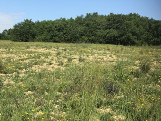  Terrain � vendre 1400 m�