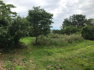  Ferme à vendre 7 pièces 284 m²