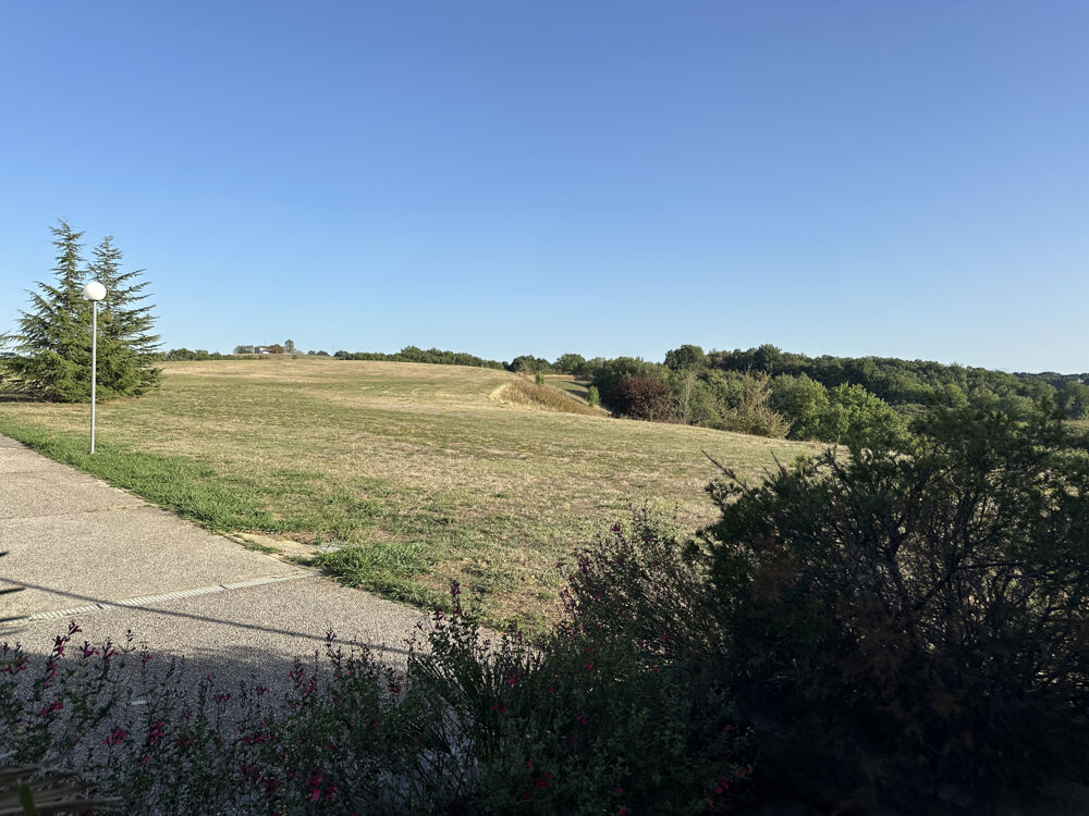 à vendre  Propriété/château L'Isle-en-Dodon (31230)
