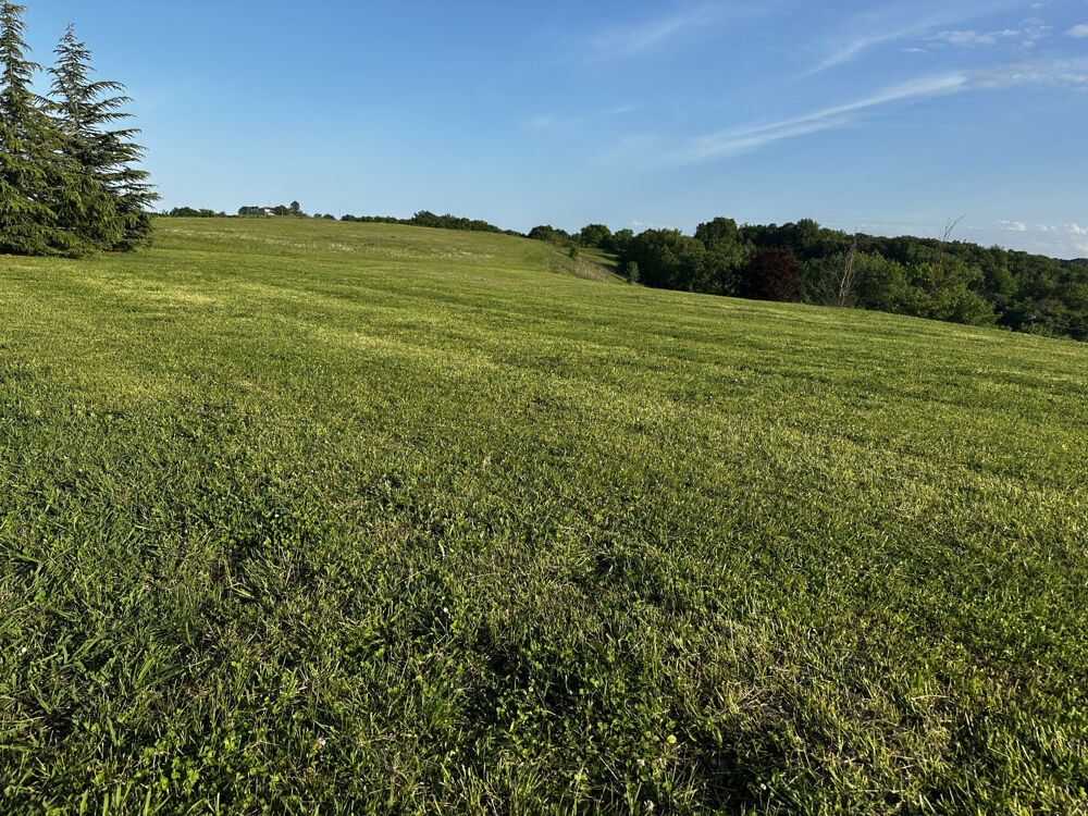 Vente Propriété/Château CLAQUER LA PORTE ET S'ENVOLER Masseube
