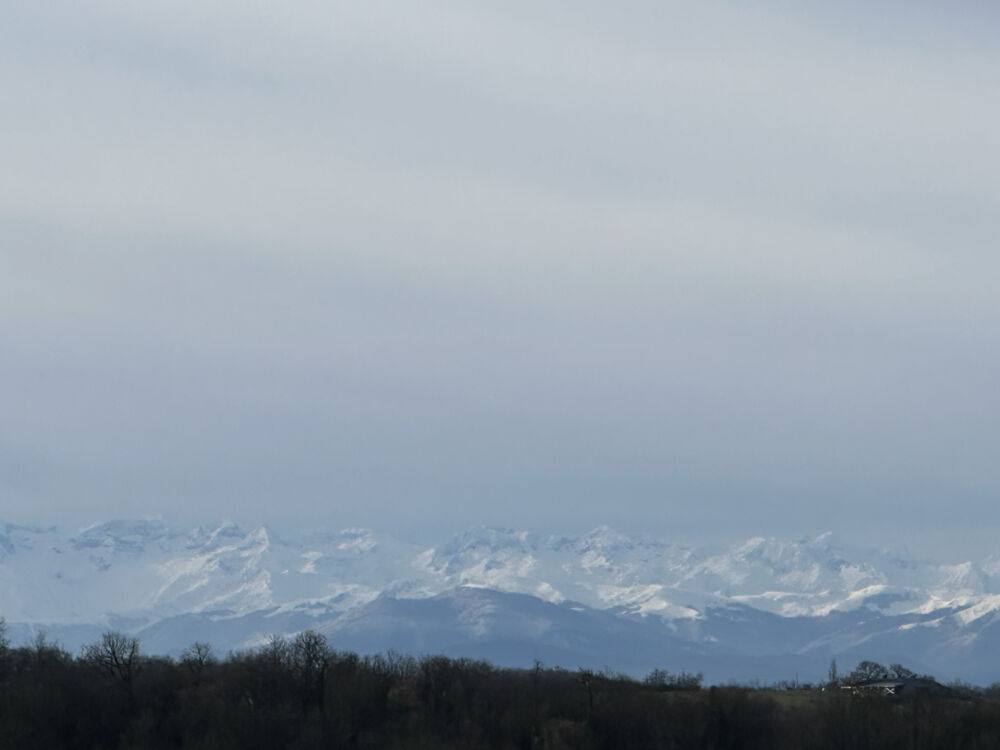 � vendre  Propri�t�/ch�teau Masseube (32140)