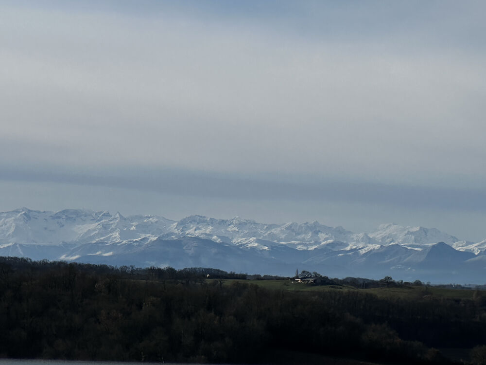 � vendre  Propri�t�/ch�teau Masseube (32140)