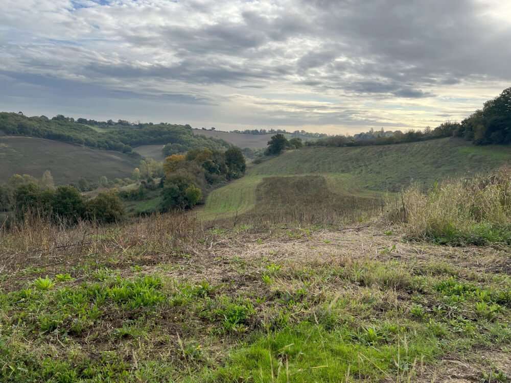 BASTIDE ET DÉPENDANCES SUR 11 HECTARES