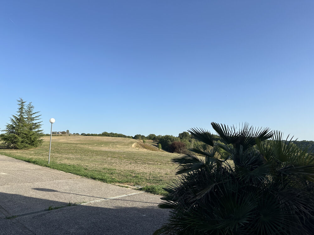 à vendre  Propriété/château L'Isle-en-Dodon (31230)