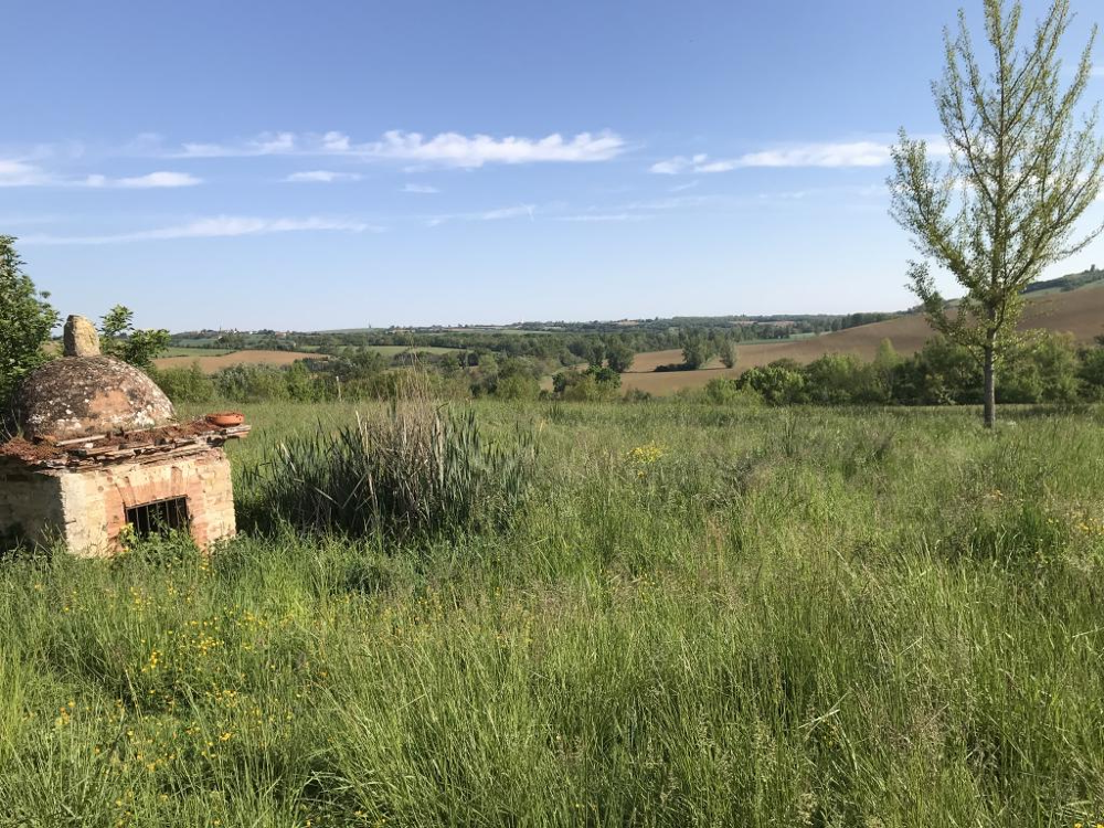 Vente Maison PROCHE L'ISLE-EN-DODON, FERME ANCIENNE À RÉNOVER, TERRAIN DE 4,4 Ha ... L isle en dodon