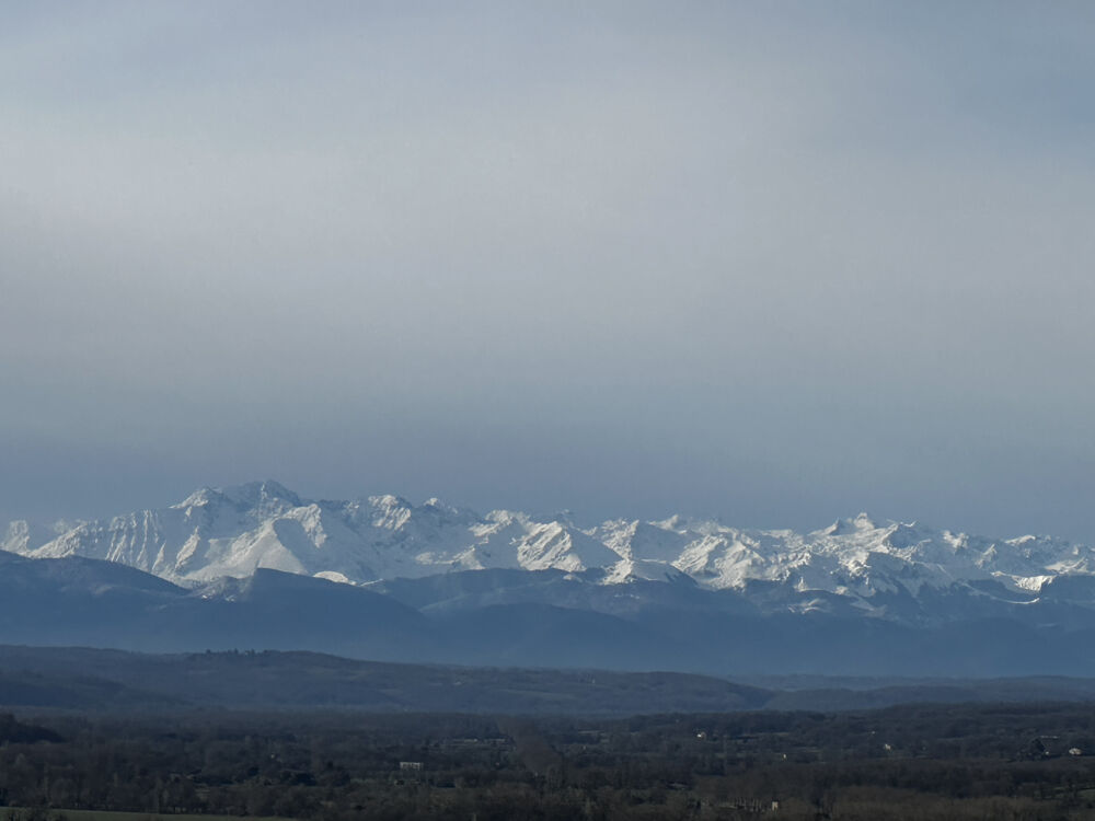 � vendre  Propri�t�/ch�teau Masseube (32140)