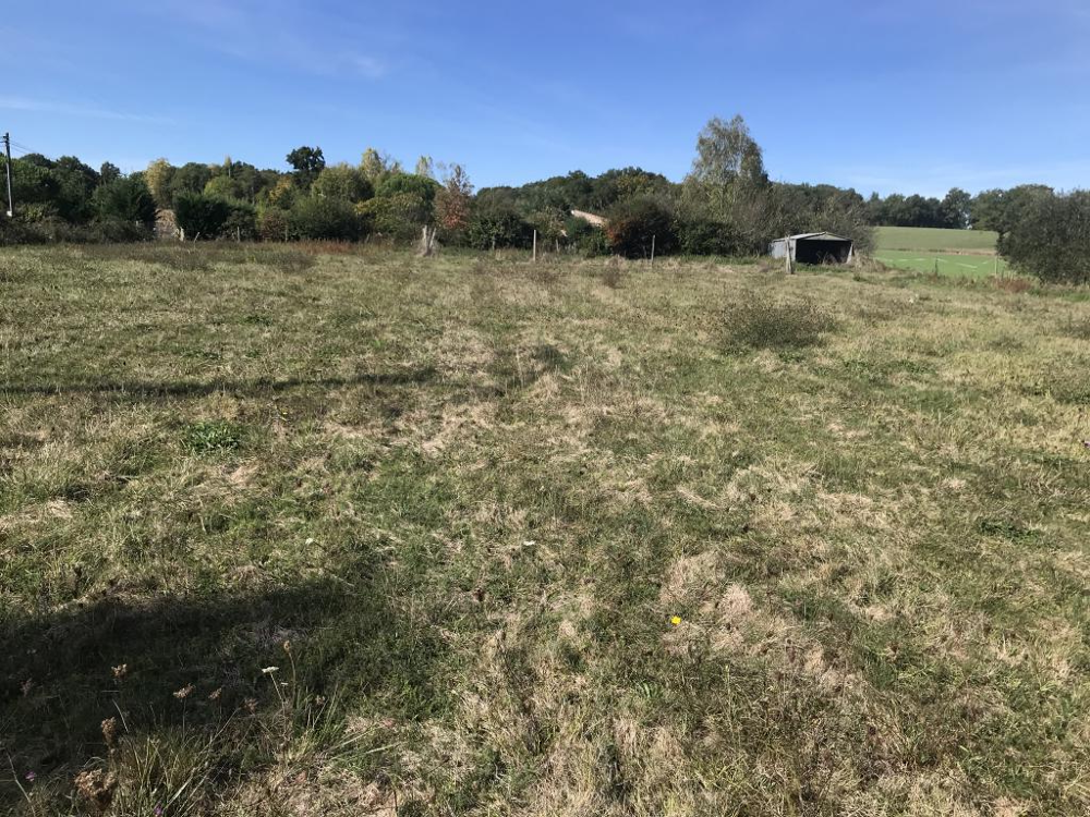 Vente Terrain 5 MN ISLE EN DODON L isle en dodon