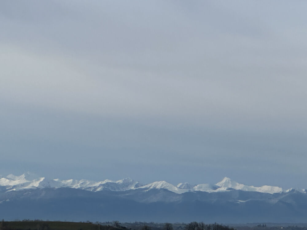 � vendre  Propri�t�/ch�teau Masseube (32140)