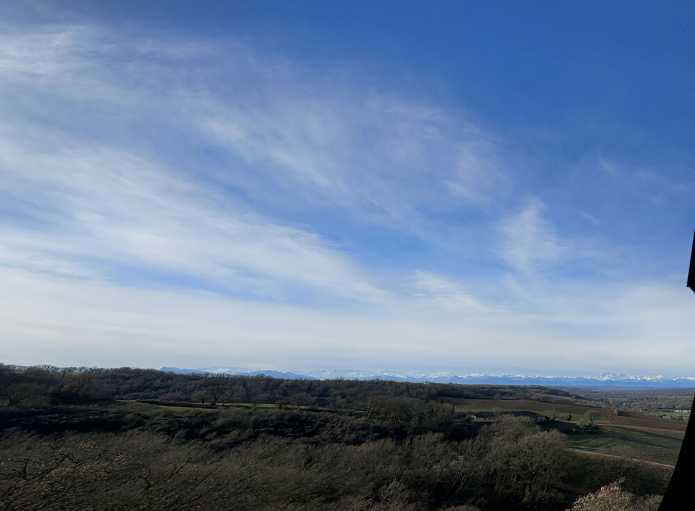 � vendre  Propri�t�/ch�teau Masseube (32140)