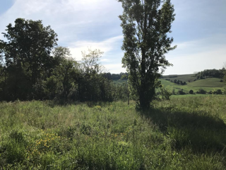  Maison à vendre 4 pièces 150 m²