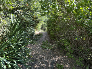  Maison � vendre 8 pi�ces 250 m�