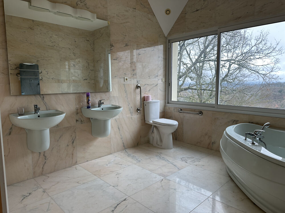 à vendre  Propriété/château L'Isle-en-Dodon (31230)