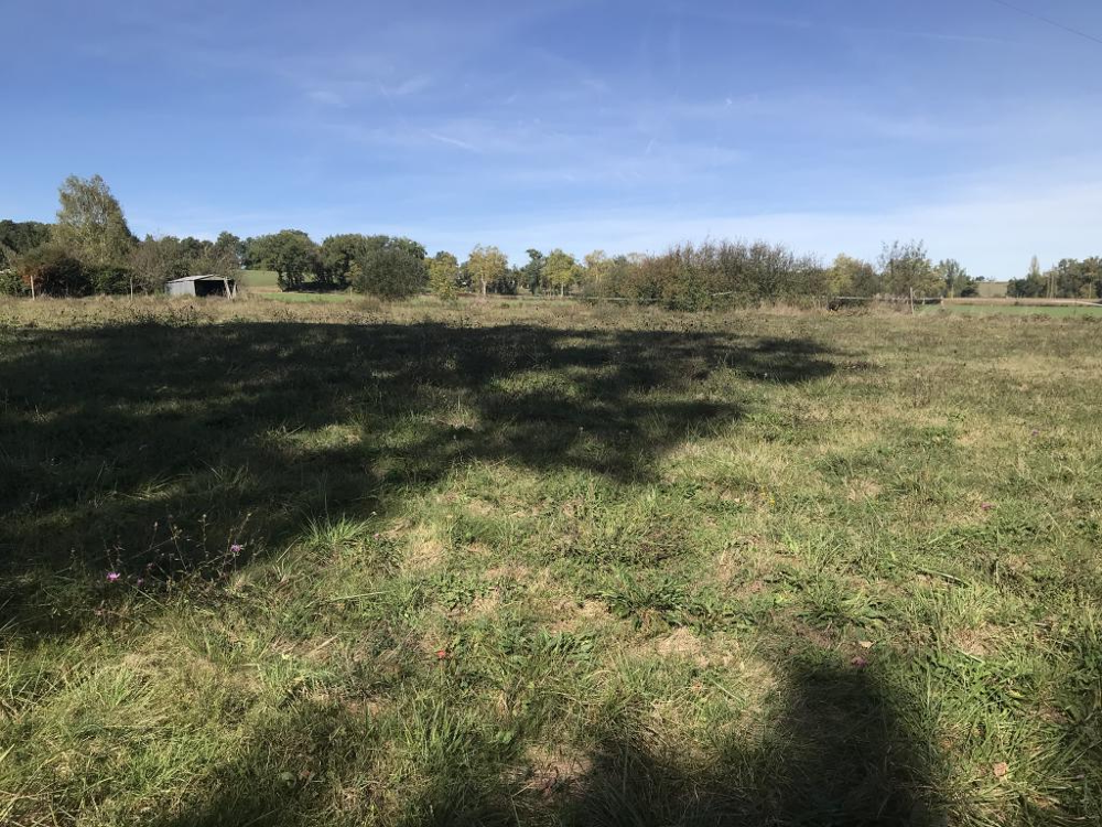 Vente Terrain 5 MN ISLE EN DODON L isle en dodon