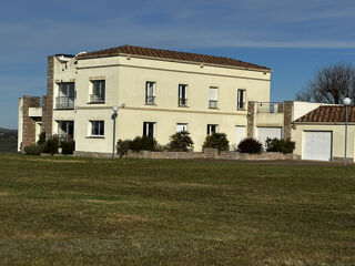  Propriété/château à vendre 10 pièces 380 m² L isle en dodon